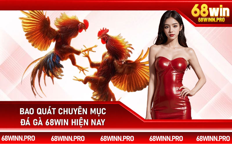 Bao quát chuyên mục đá gà 68Win hiện nay