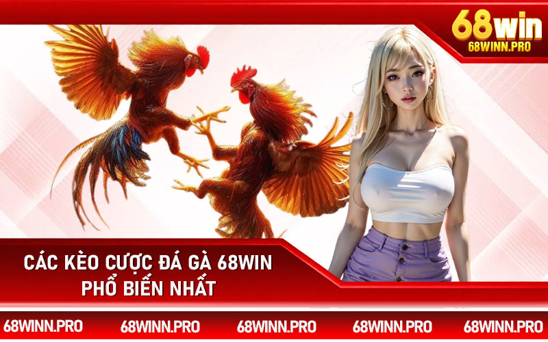 Các kèo cược đá gà 68Win phổ biến nhất