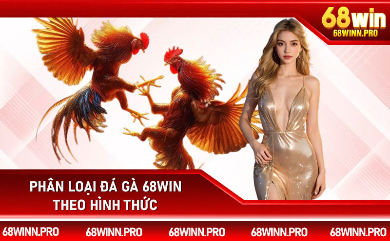 Phân loại đá gà 68Win theo hình thức